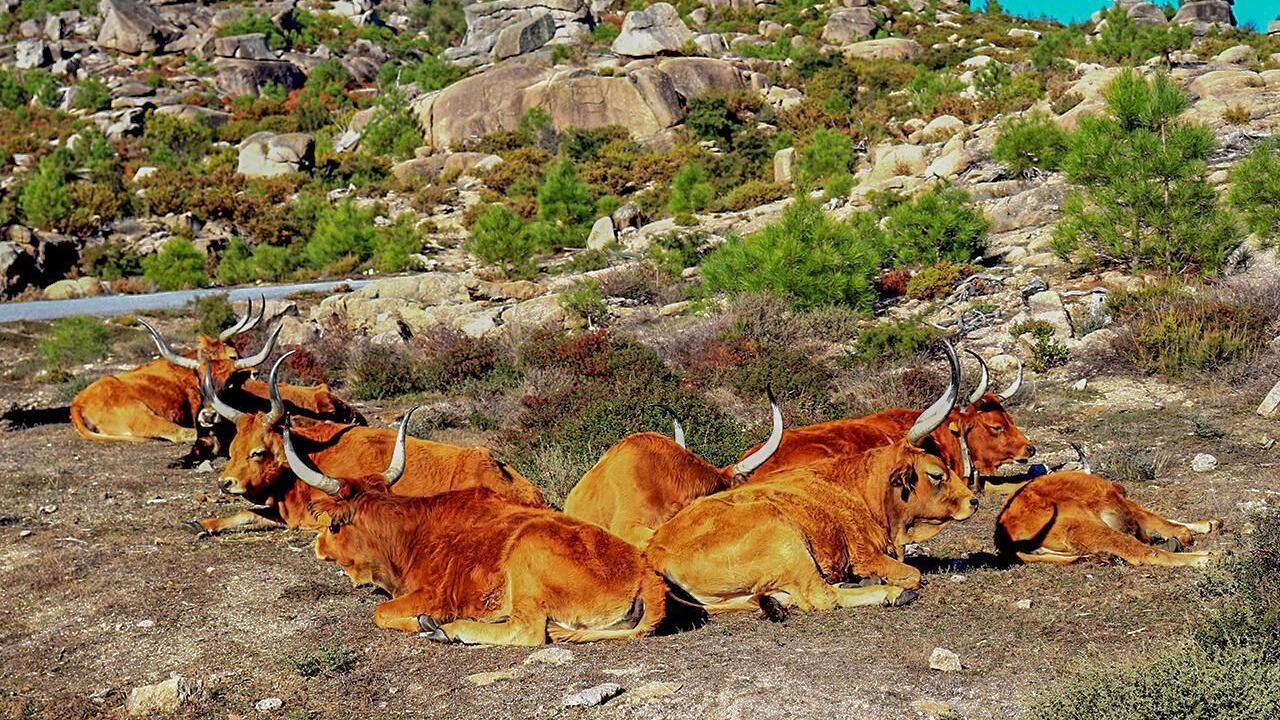 Photo of Outdoor in Geres