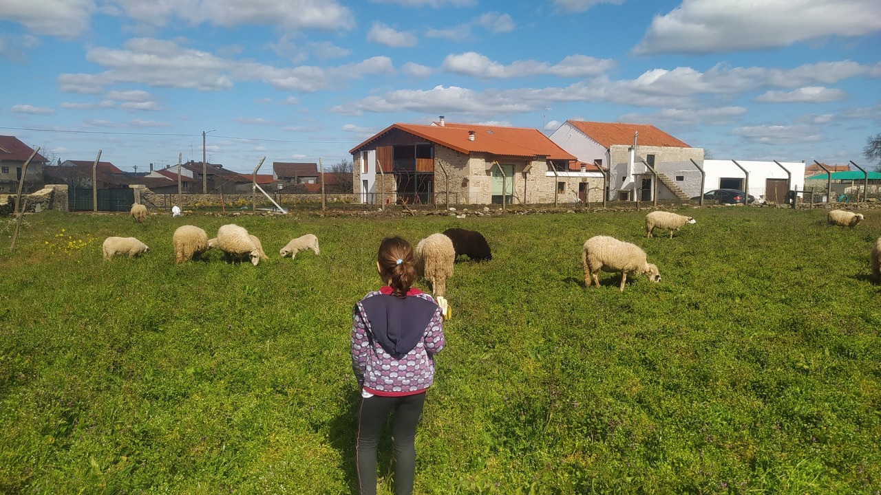 Photo of Outdoor in Sendim