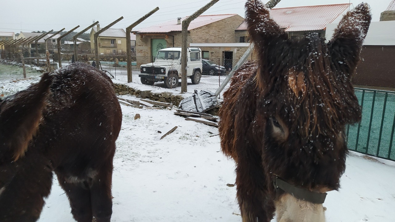 Photo of Others in Sendim