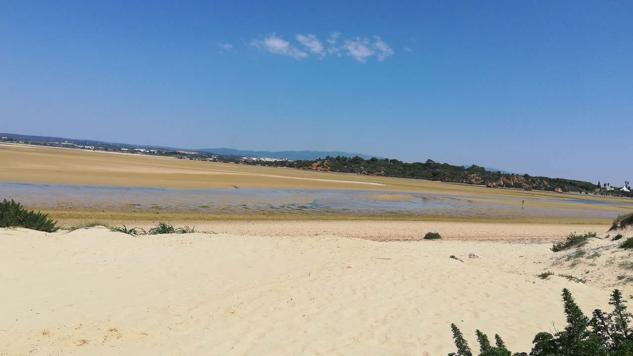 Photo of Others in Alvor