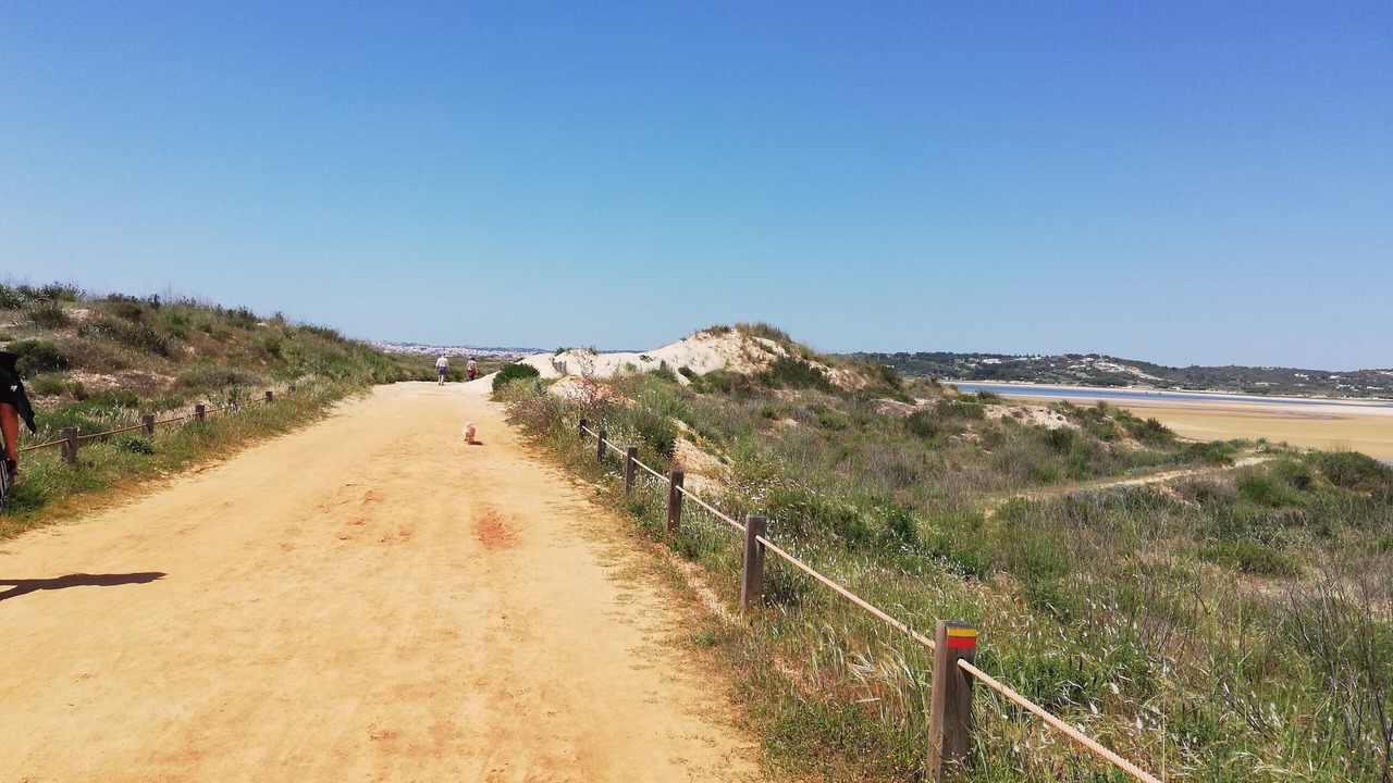 Photo of Others in Alvor