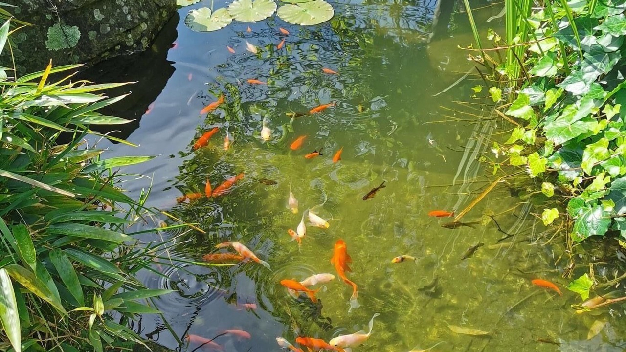 Photo of Outdoor in Portela