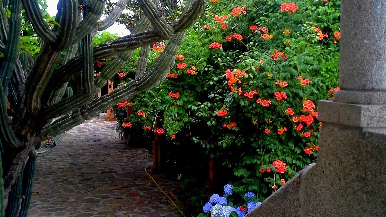 Photo of Outdoor in Portela
