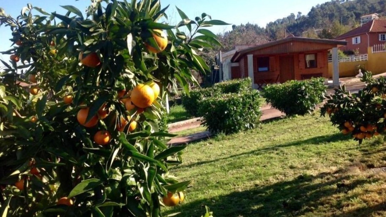 Photo of Outdoor in Portela