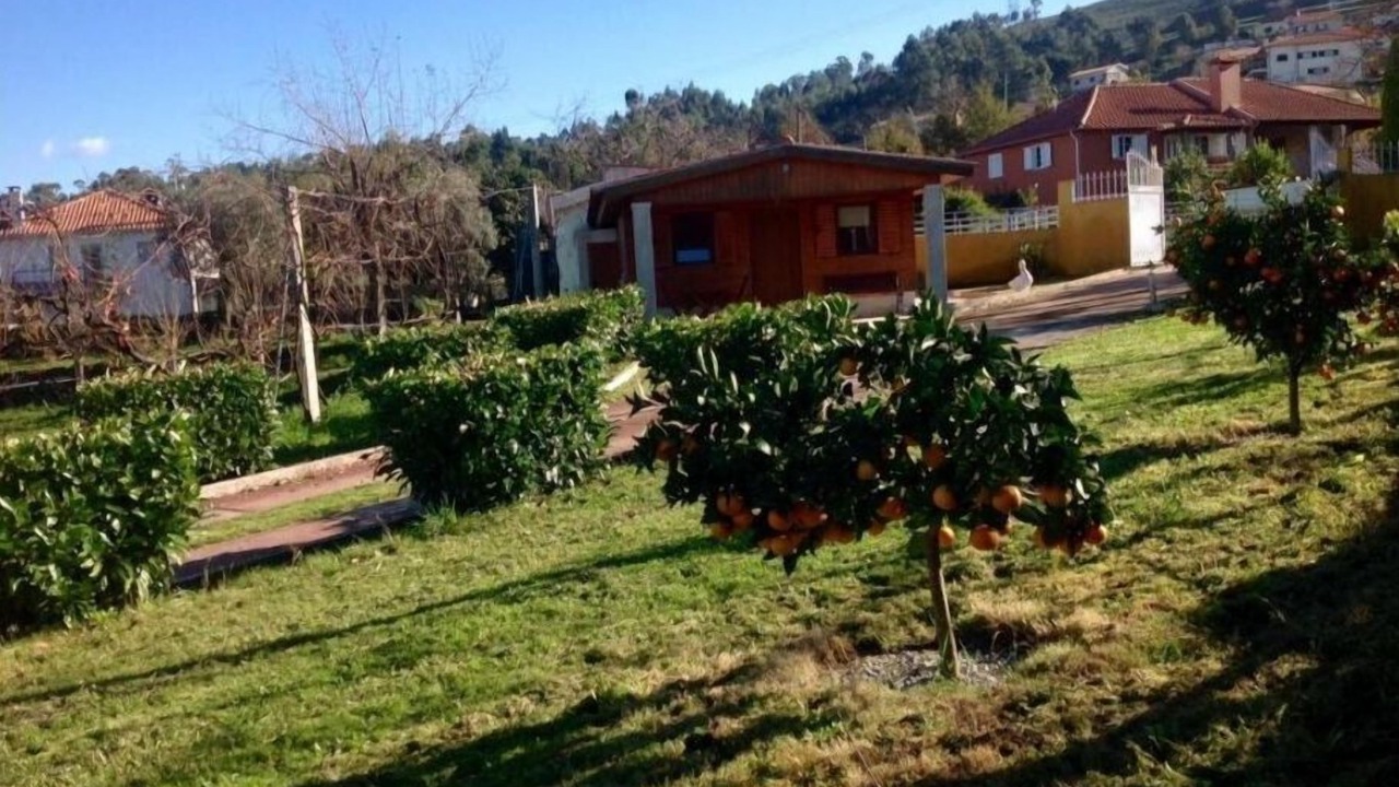Photo of Outdoor in Portela
