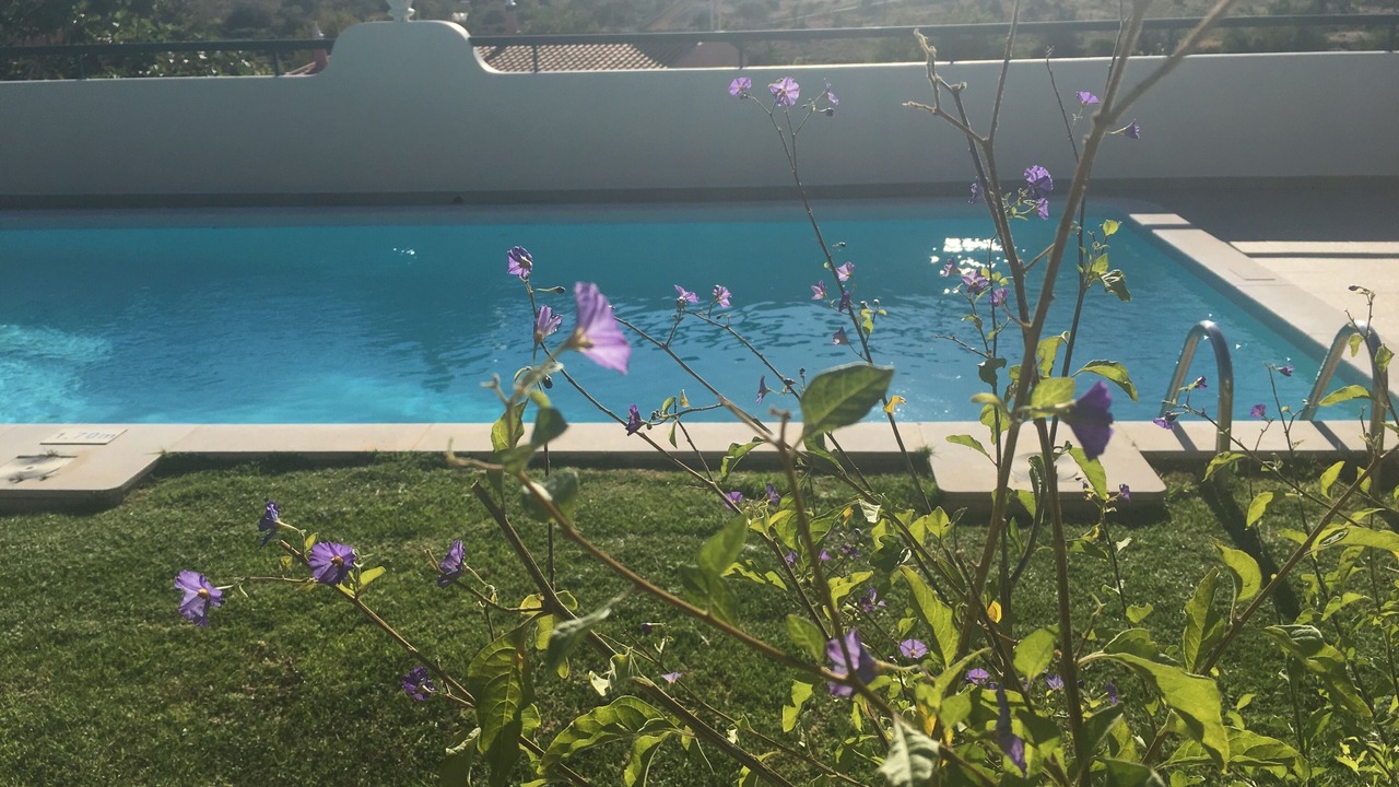 Photo of Outdoor in Chao de Cevada