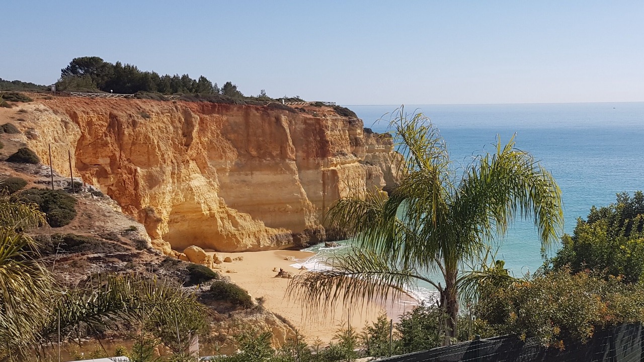 Photo of Others in Lagoa e Carvoeiro