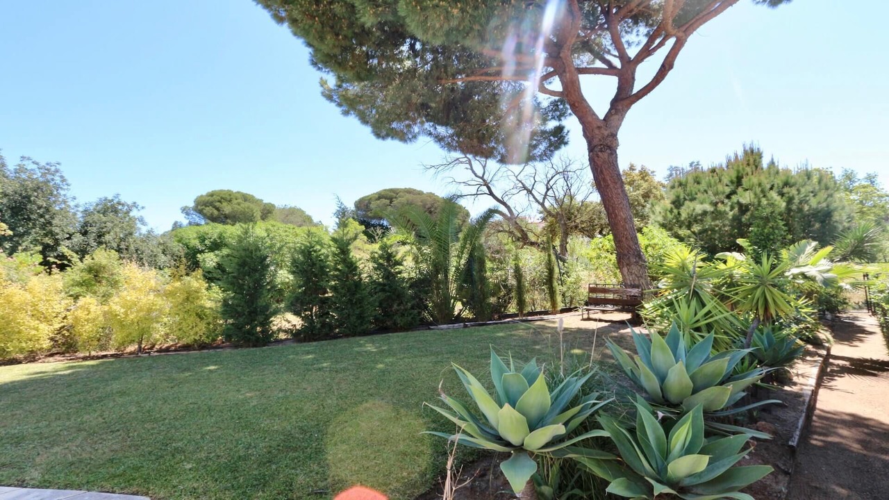 Photo of Outdoor in Vilamoura