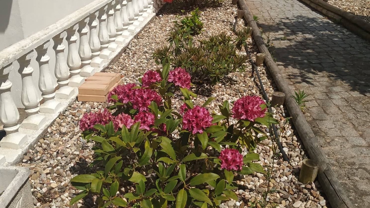 Photo of Outdoor in Penela