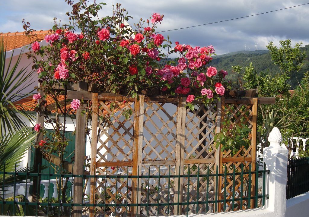 Photo of Outdoor in Penela