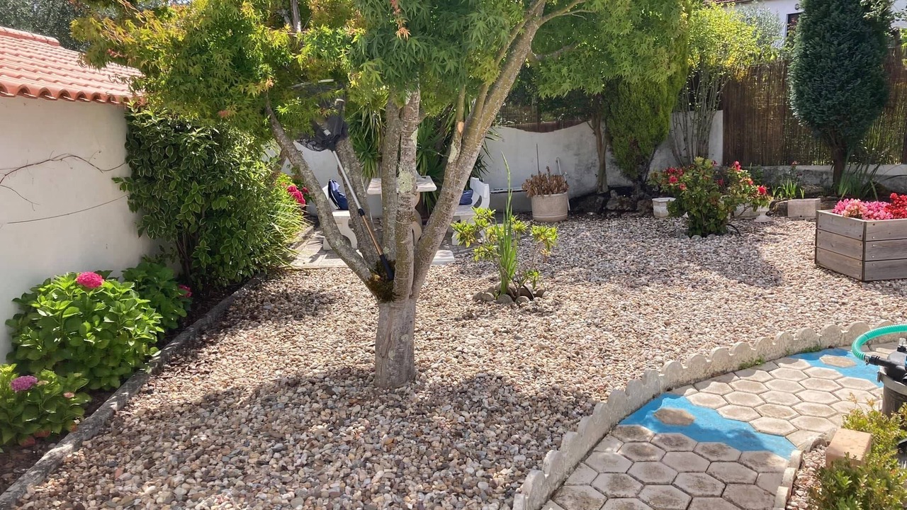 Photo of Outdoor in Penela