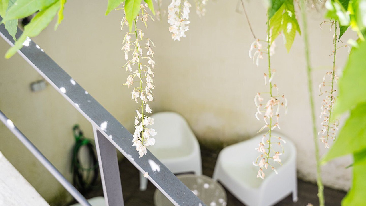 Photo of Outdoor in Paranhos