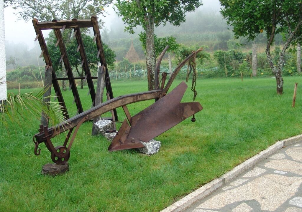 Photo of Outdoor in Bico