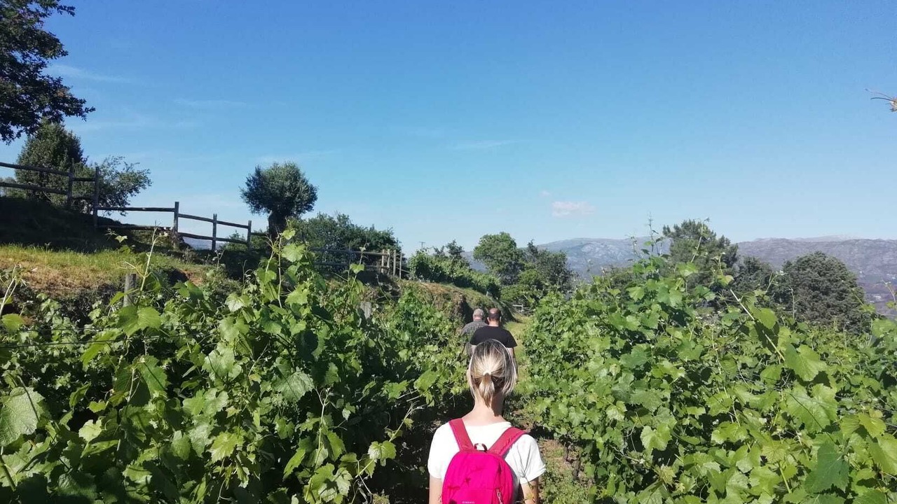 Photo of Outdoor in Bico