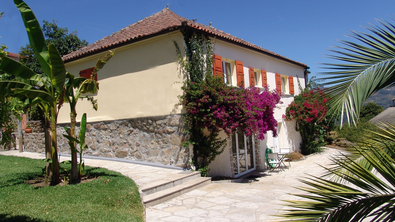 Photo of Outdoor in Bico