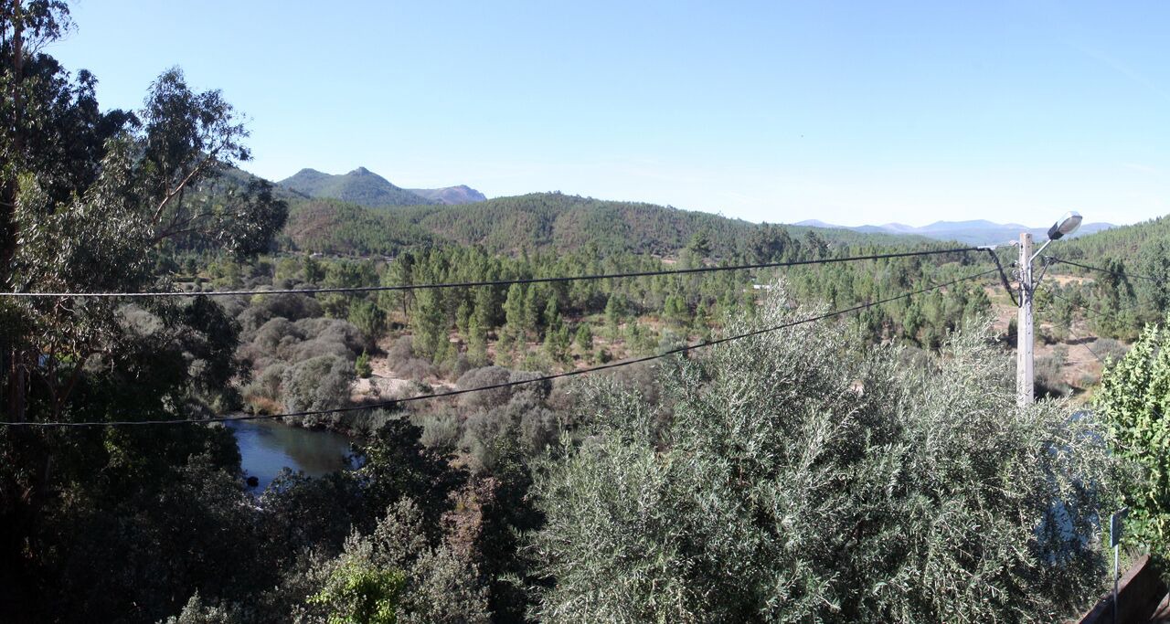 Photo of Others in Balocas