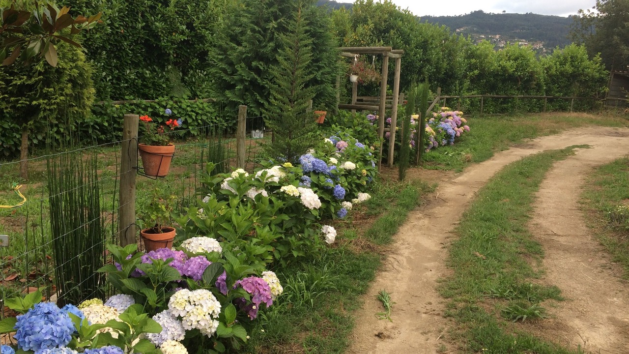 Photo of Outdoor in Varzea da Ovelha e Aliviada