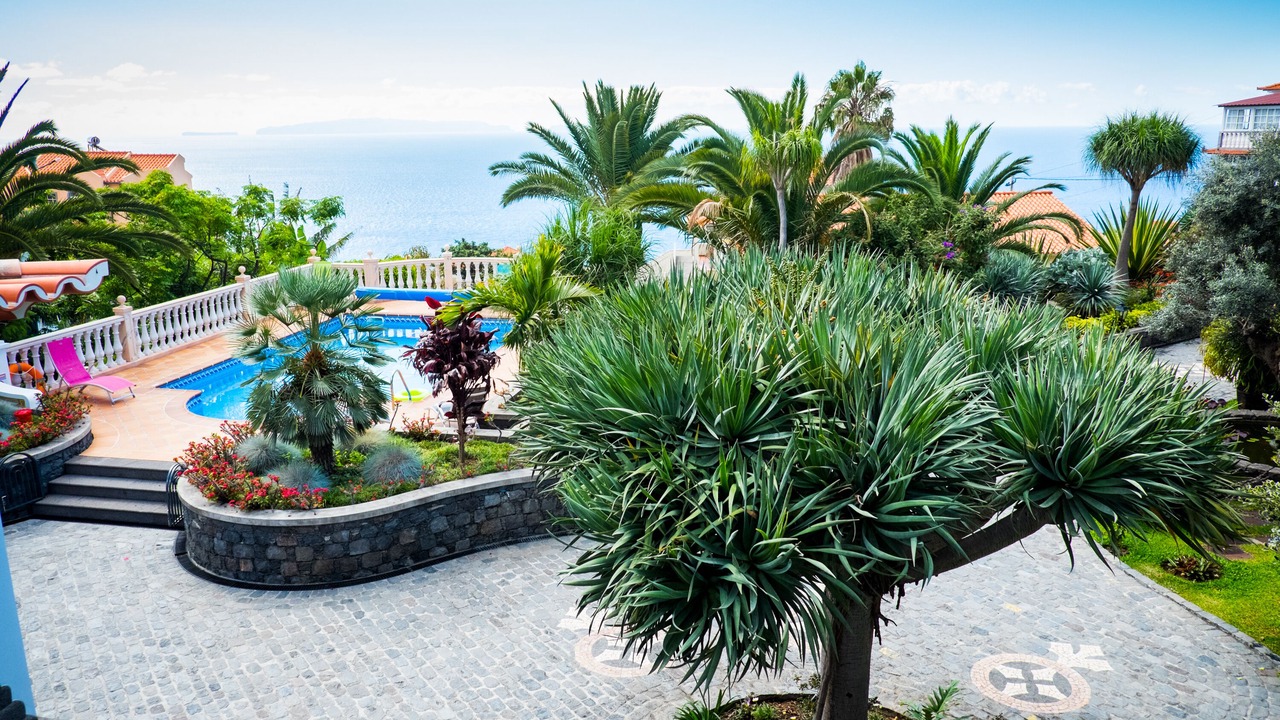 Photo of Outdoor in Canico