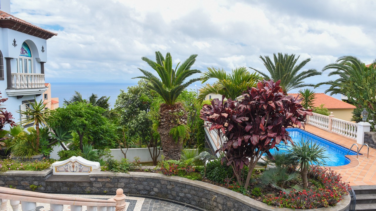 Photo of Outdoor in Canico