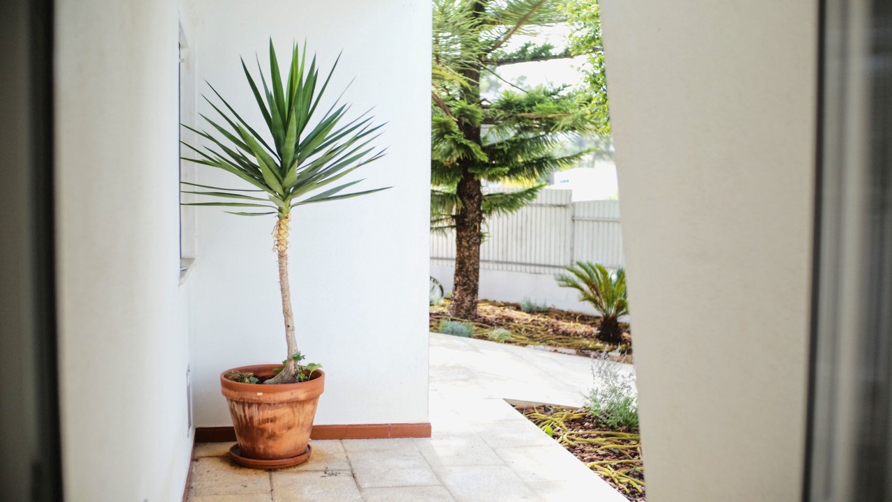Photo of Outdoor in Faulha