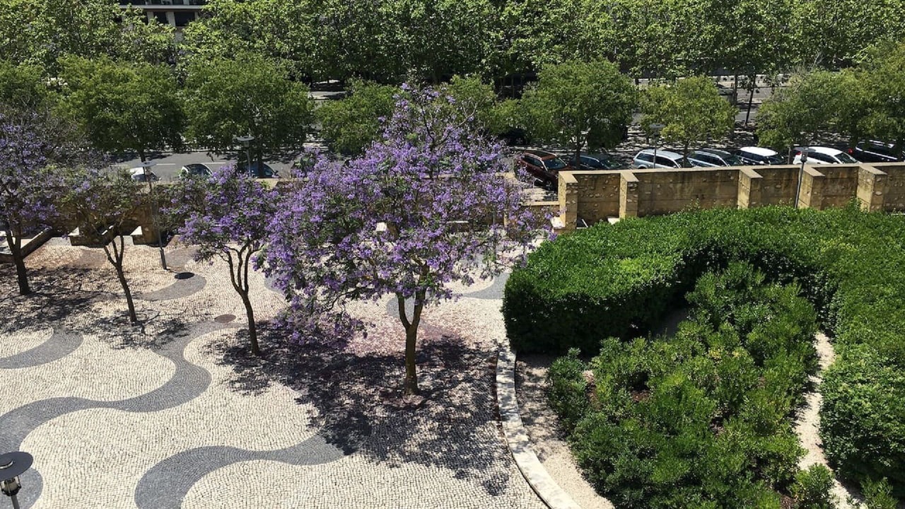 Photo of Outdoor in Parque das Nacoes