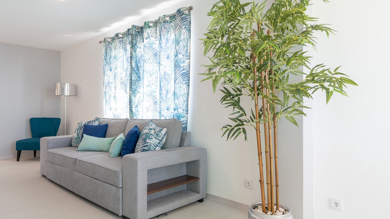 Photo of Livingroom in Arco da Calheta