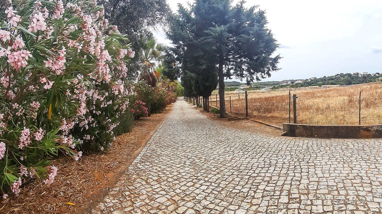 Photo of Outdoor in Sargacal