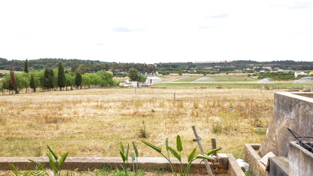 Photo of Outdoor in Sargacal