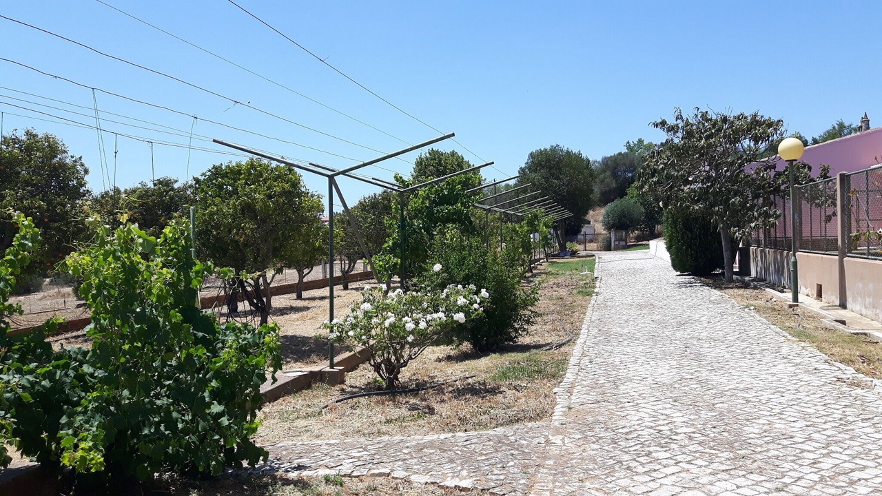 Photo of Outdoor in Sargacal