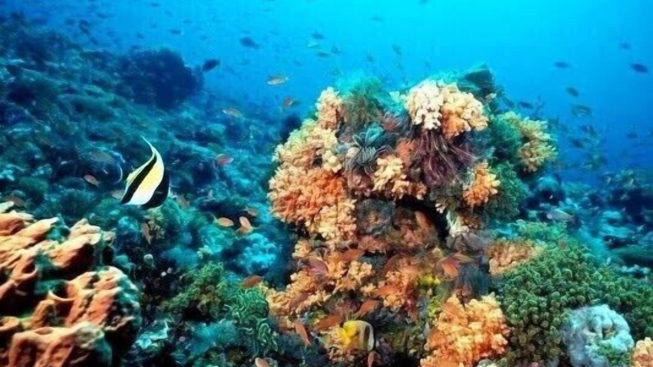 Photo of Outdoor in Areia Branca