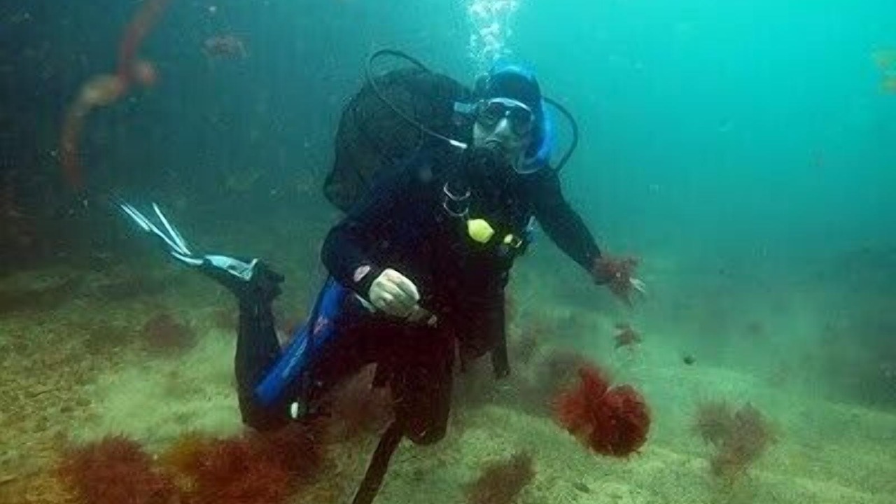 Photo of Others in Areia Branca