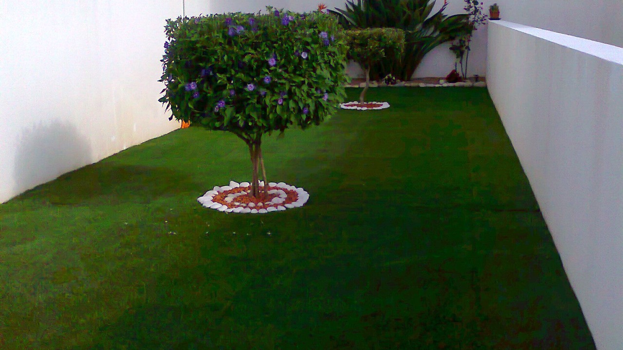 Photo of Outdoor in Peniche