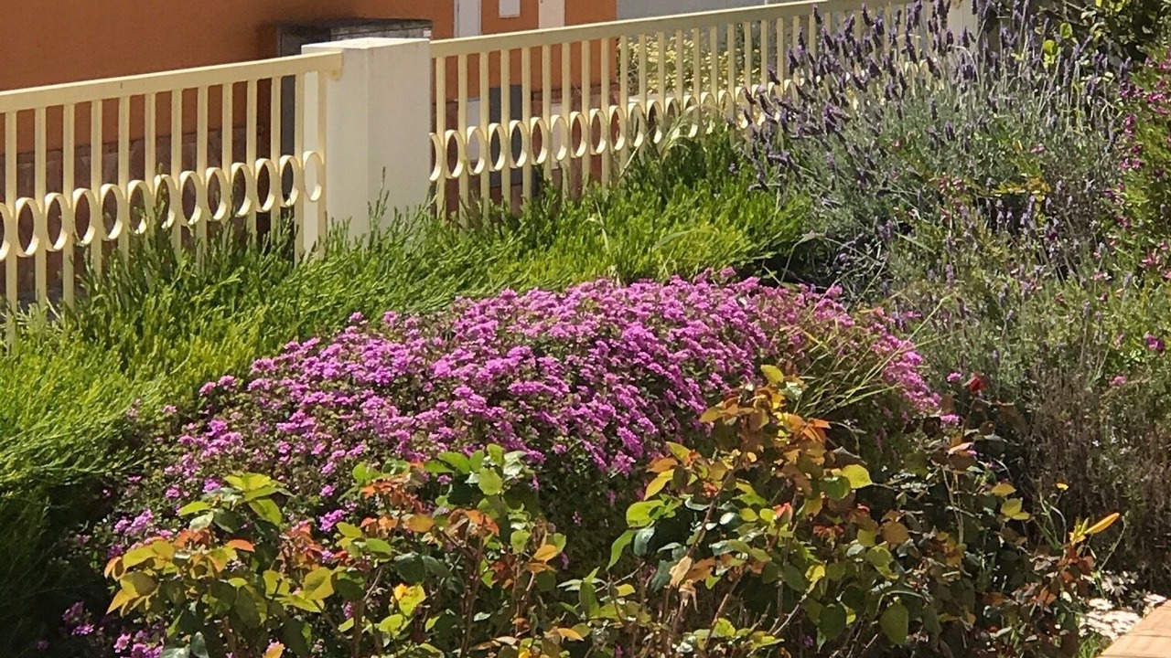 Photo of Outdoor in Porto de Mos
