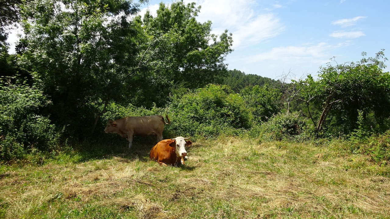 Photo of Outdoor in Casas Novas