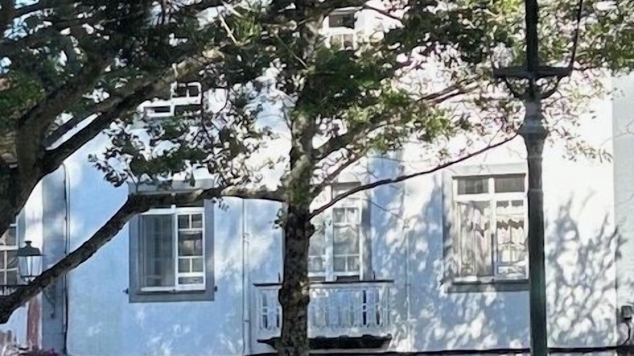 Photo of Outdoor in Horta