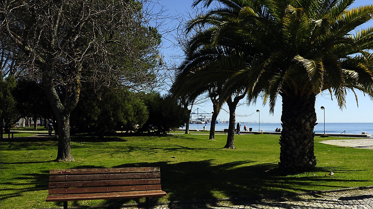 Photo of Others in Setubal