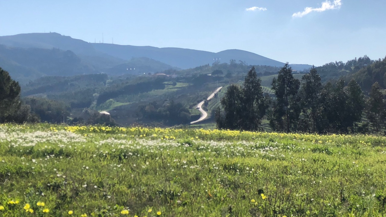 Photo of Outdoor in Lamas