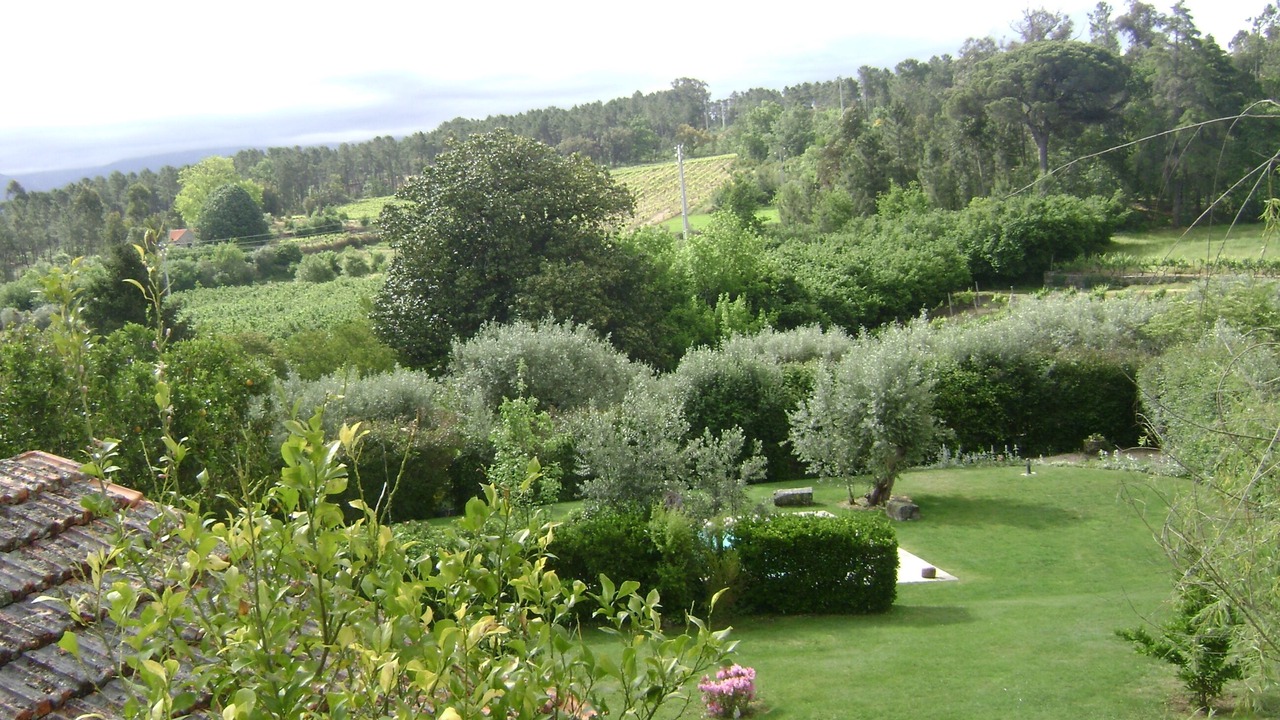 Photo of Outdoor in Seia