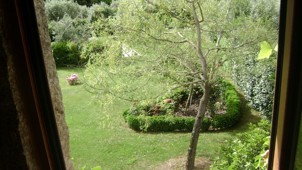 Photo of Others in Seia