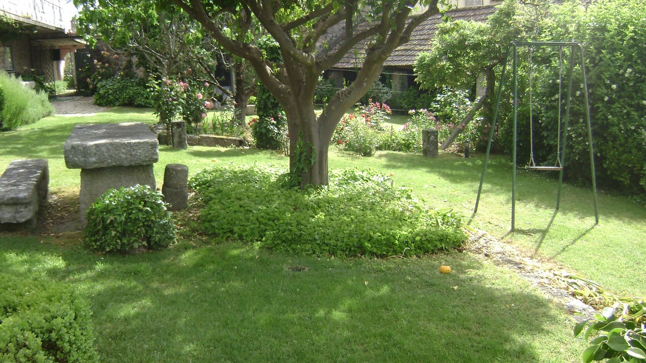 Photo of Outdoor in Seia