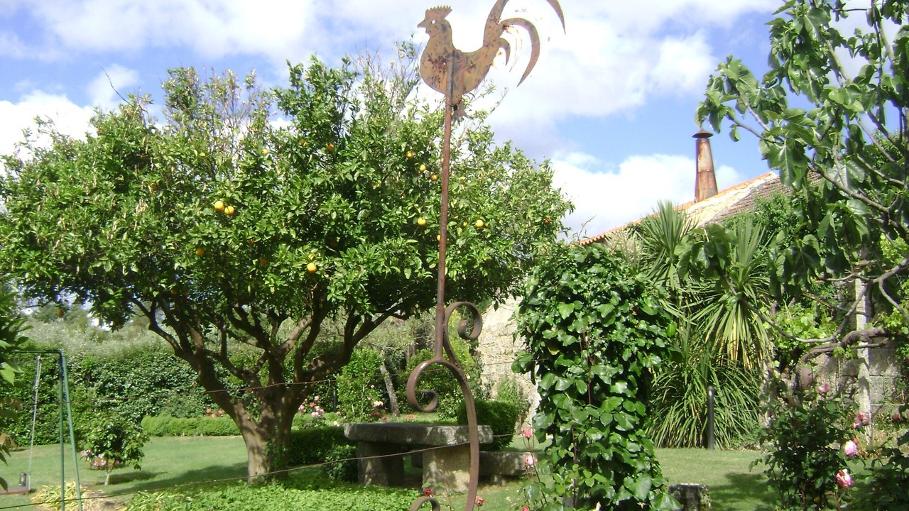Photo of Outdoor in Seia