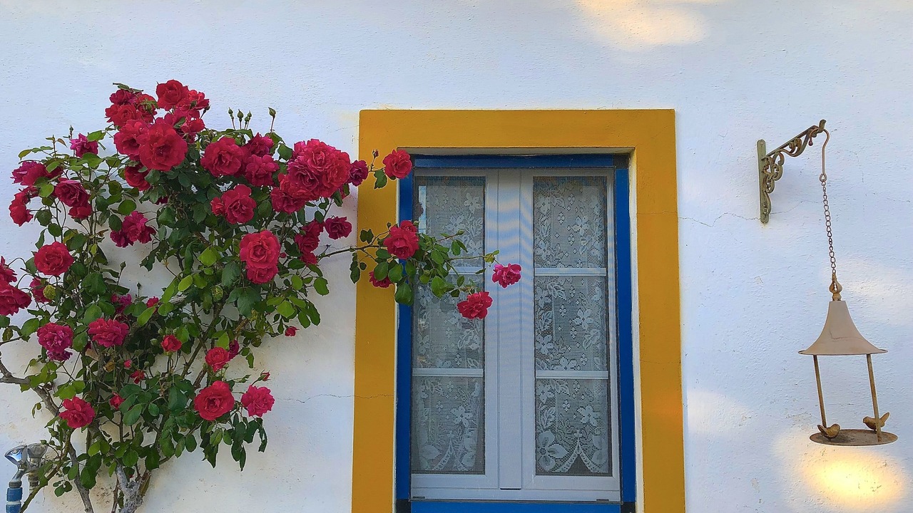 Photo of Outdoor in Portalegre