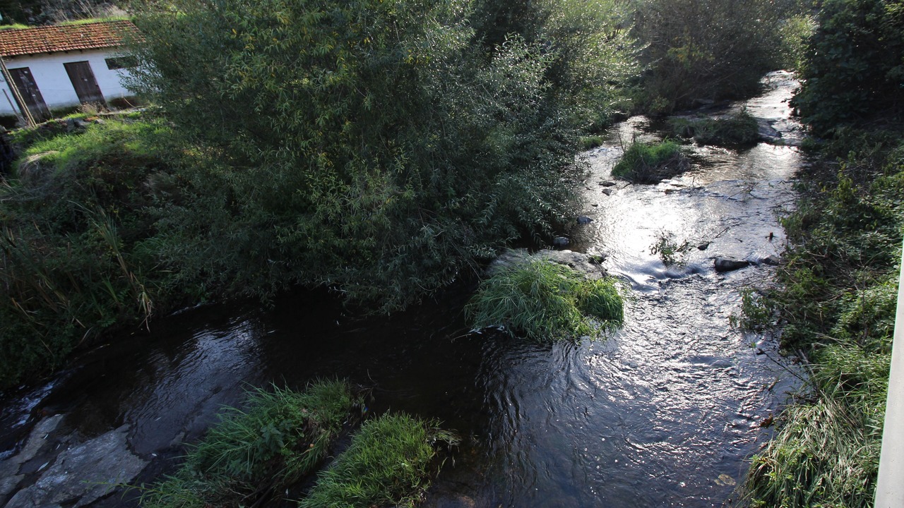 Photo of Outdoor in Braganca