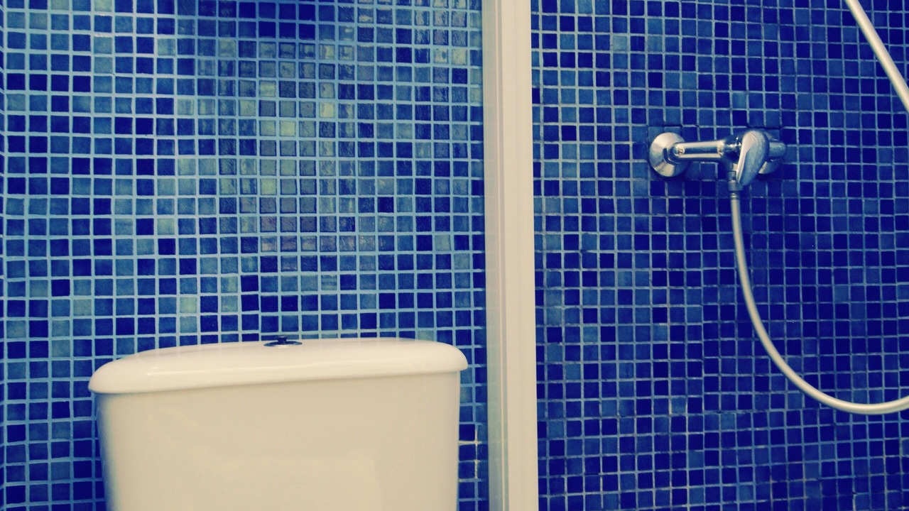 Photo of Bathroom in Braganca
