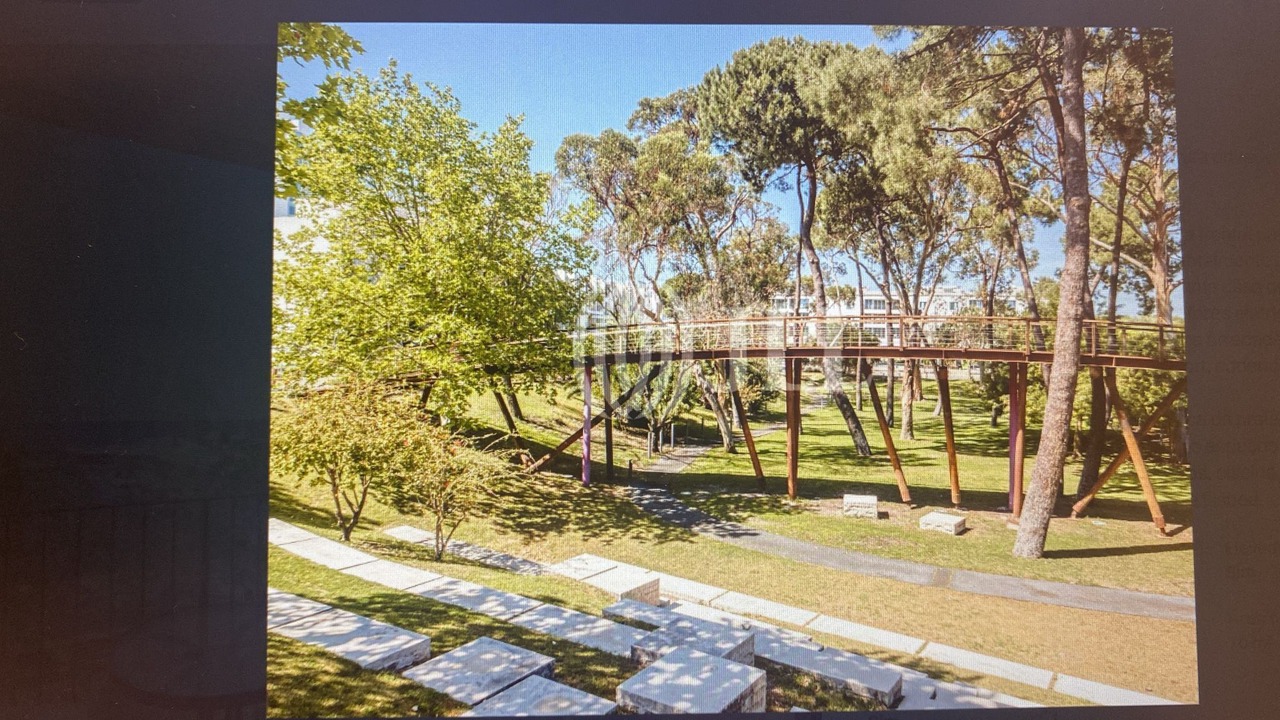 Photo of Outdoor in Carvalhal