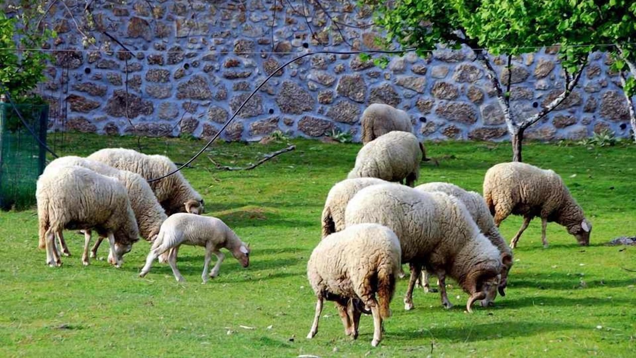 Photo of Outdoor in Gouveia