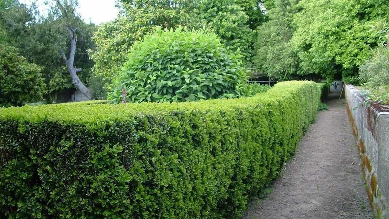 Photo of Outdoor in Gouveia