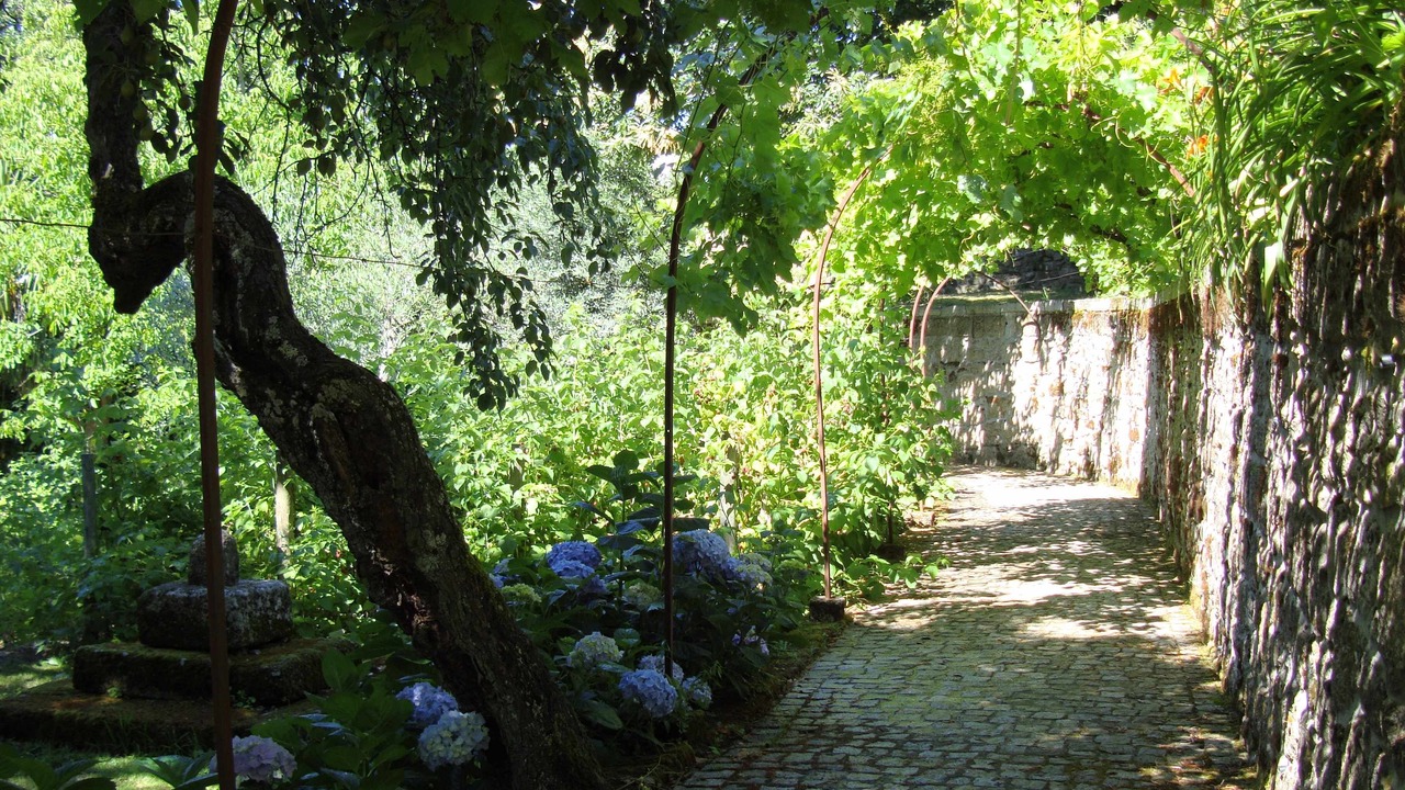 Photo of Outdoor in Gouveia