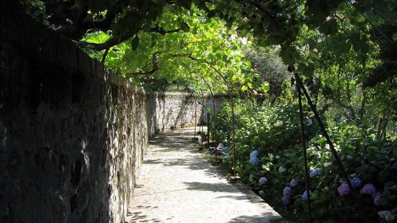 Photo of Outdoor in Gouveia