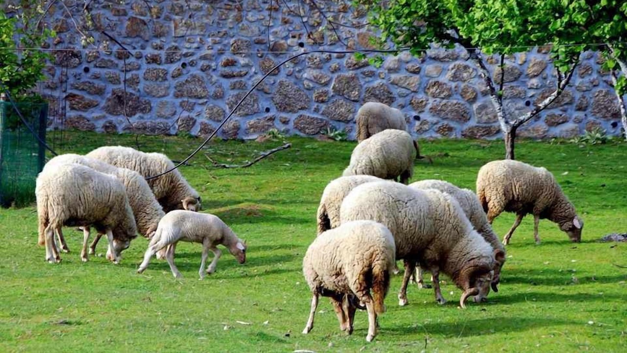 Photo of Outdoor in Gouveia